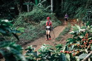 BIB: 
                            <button type="button" onclick="openModal(25855501)" class="btn btn-primary btn-sm float-right btn-popup" data-toggle="modal" data-target=".modal-high-quality">
                        <i class="fas fa-shopping-cart"></i> Add to Cart
                    </button>
                                            <button type="button" onclick="isThisMe(25855501, true)" class="btn btn-success btn-sm float-right btn-popup btn-isme hidden" data-toggle="tooltip" data-placement="bottom" title="นี่คือรูปของคุณใช่ไหม คลิกที่นี่เพื่อเอาเข้าอัลบั้ม">
                        <i class="fas fa-plus"></i> Add to album
                    </button>
                    <button type="button" onclick="isThisMe(25855501, false)" class="btn btn-warning btn-sm float-right btn-popup btn-isnotme hidden">
                        <i class="fas fa-ban"></i> Remove from album
                    </button>